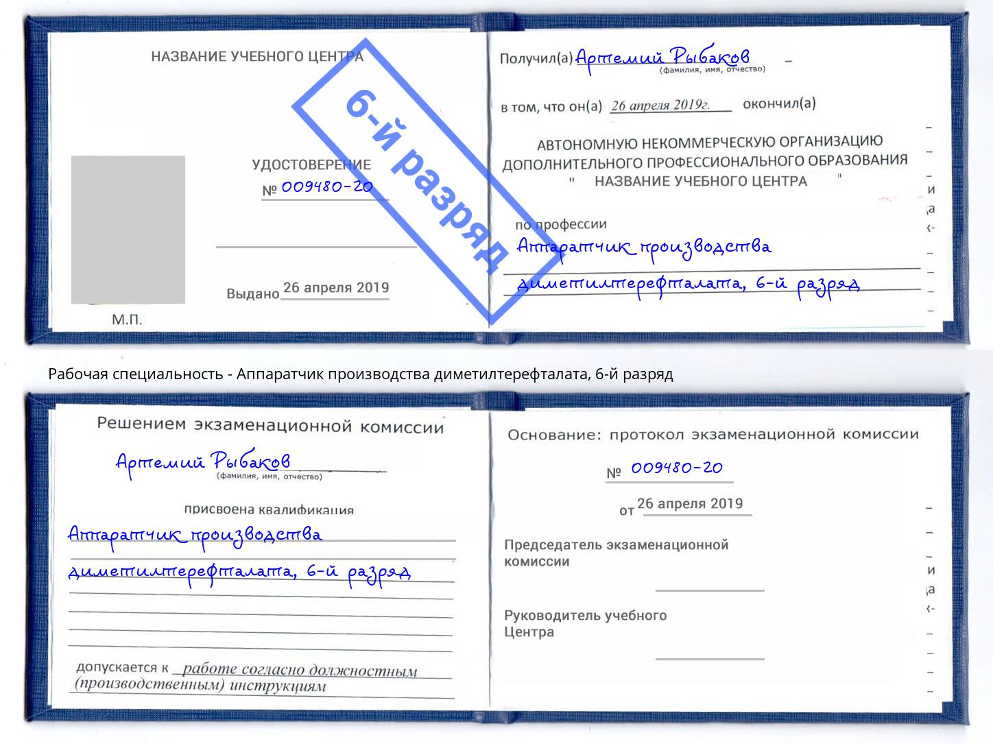 корочка 6-й разряд Аппаратчик производства диметилтерефталата Моздок