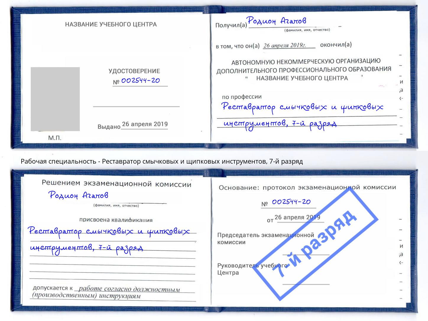 корочка 7-й разряд Реставратор смычковых и щипковых инструментов Моздок